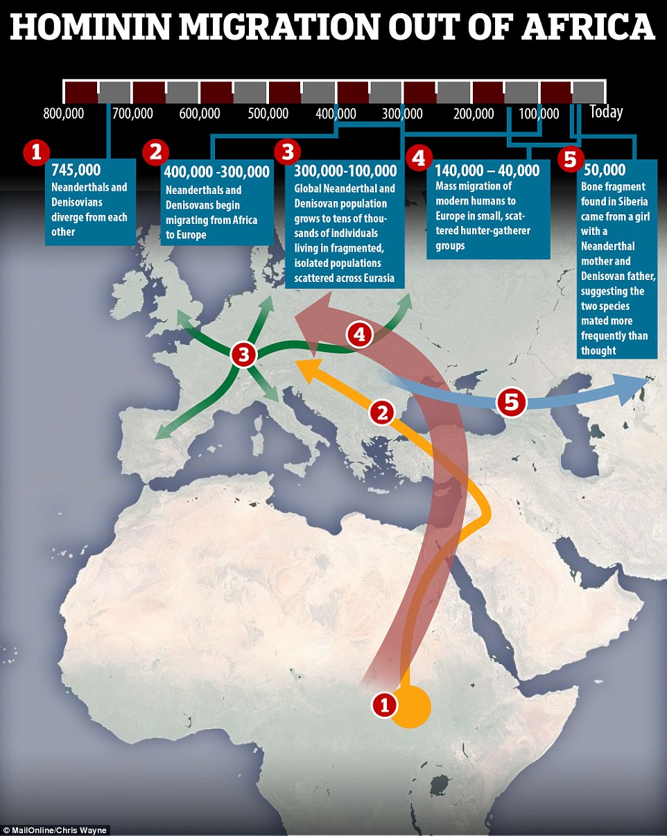 4F4E383F00000578-6086487-A_study_of_a_tiny_bone_fragment_found_in_a_cave_in_Russia_shows_-a-31_1534959094781
